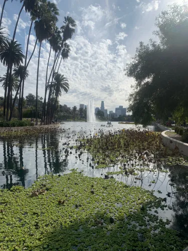 Echo Park Lake Echo Park Los Angeles California