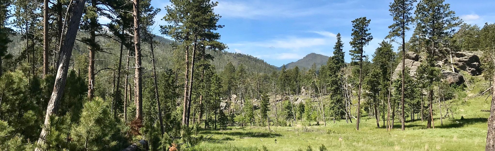 Willow Creek Trail 390 Reviews, Map South Dakota AllTrails