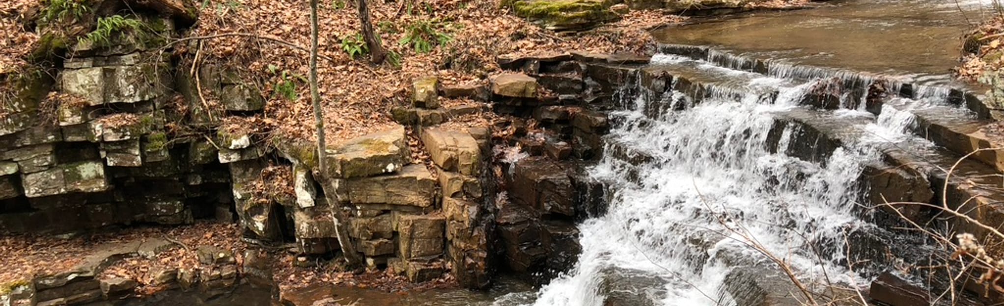 Fenwick Nature Trail 57 Reviews, Map Virginia AllTrails