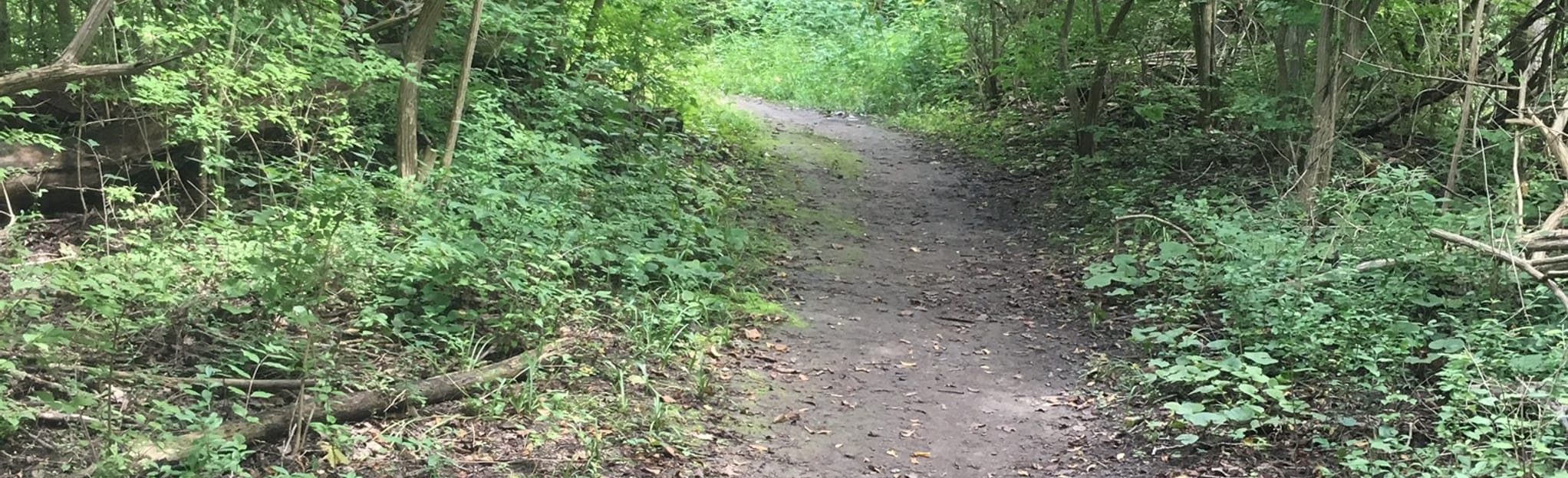 Indian Crossing Trails Park Loop, Michigan 487 Reviews, Map AllTrails