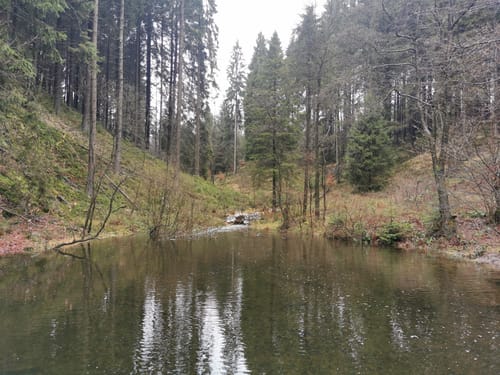 Königspfad Ebbegebirge (Sauerland) 