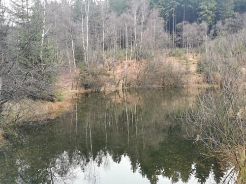 Königspfad Ebbegebirge (Sauerland) 