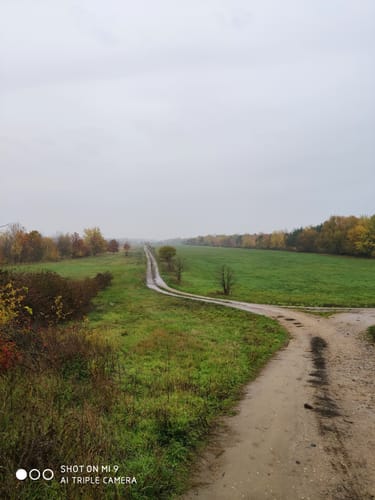 Sandersdorf-Brehna Landschaftssee Köckern