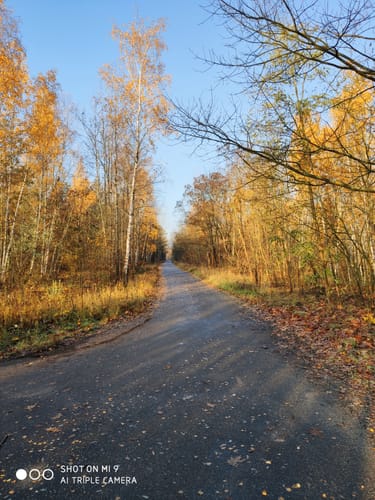 Holzweißiger Ostsee and Paupitzscher See Rundweg