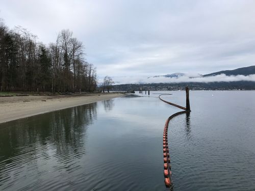 are dogs allowed at barnet marine park