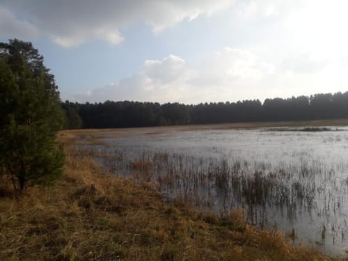 Rundwanderweg Miethsluch