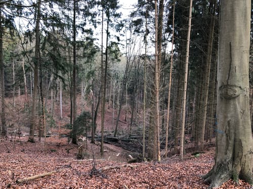 Schwarze Berge ab Hausbruch