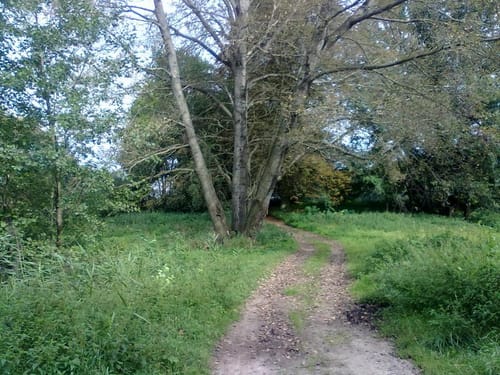 Großmutz-Glambeck-Meseberg
