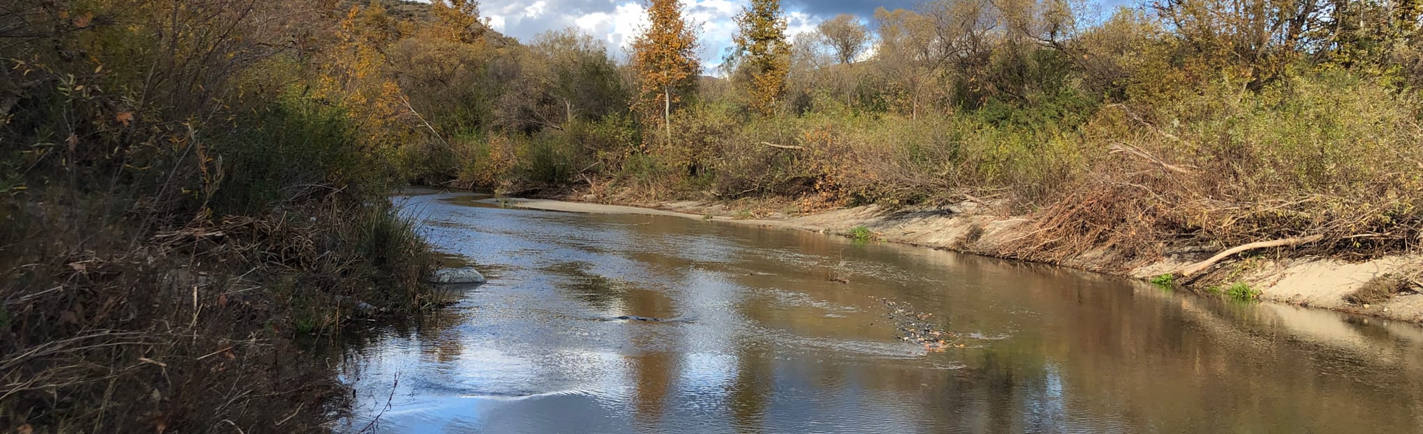 Santa Margarita River Trail: 3176 Reviews, Map - California | AllTrails