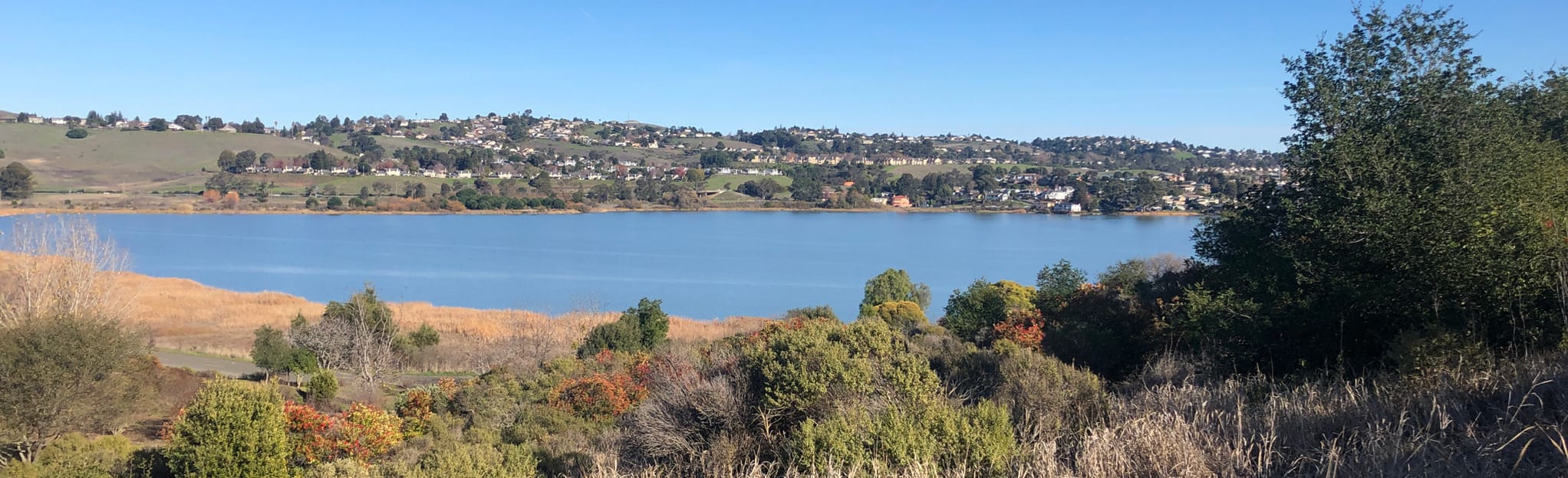 Bay Trail Benicia State Recreation Area to White Slough Path