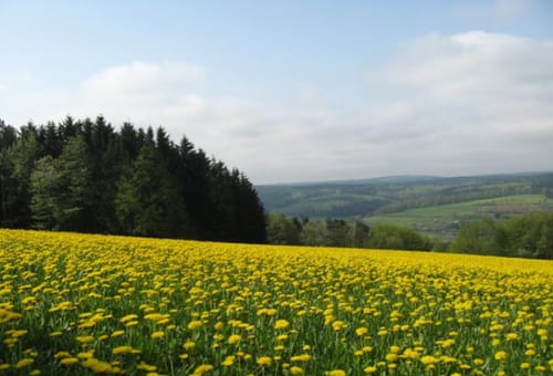 Spessartbiken 06: Grenzerfahrung