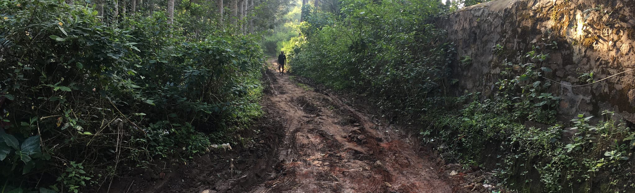 Yercaud Hike via Yercaud Top 14 foto's Tamil Nadu, India AllTrails