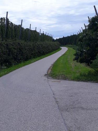 Radtour: Obstroute 3