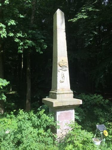 Saalberg - Pyrmonter Berg - Schierholzberg