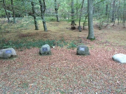 AE3 Rundwanderweg über den Schierholzberg