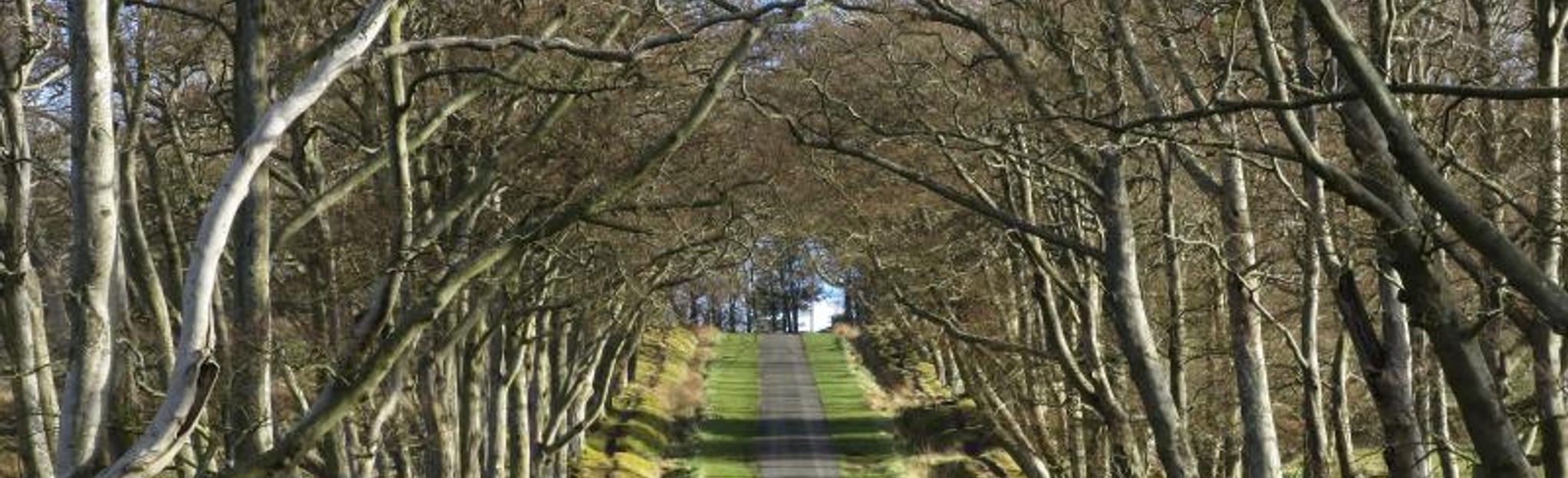 Edinburgh, Blinkbonny, Silverburn, Penicuik and Swanston Circular 0