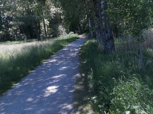 Runde im Eriskircher Ried