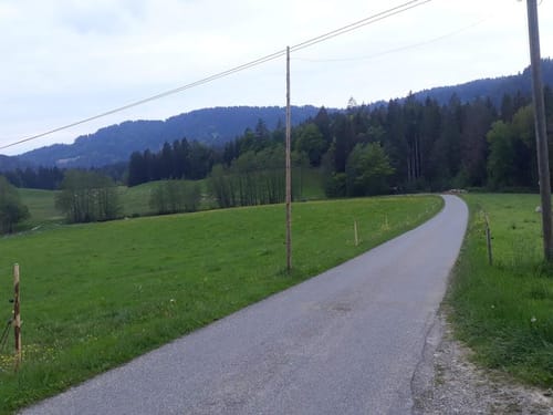 Allgäuer Kalvill - Zabergäu
