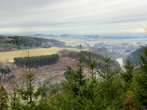 Über die Pastorenwiese bei Hallenberg