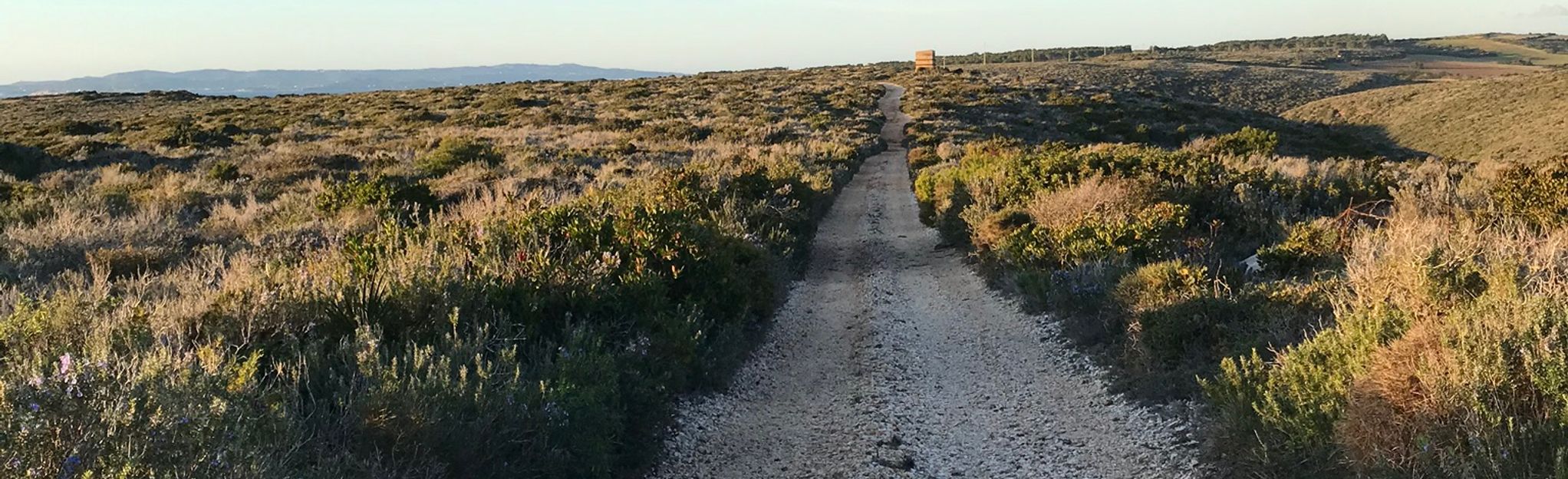 Lunga Beach via Mercuri: 5 Reviews, Map - Sardegna, Italy | AllTrails