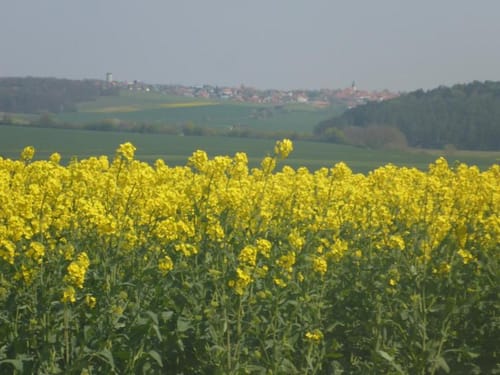 Wanderung zur Wernquelle