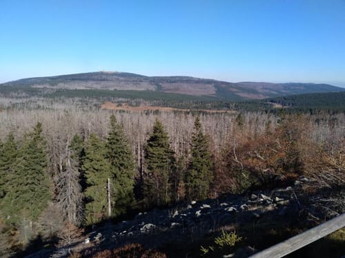 Rundweg: Braunlage - Königskrug -Achtermannshöhe
