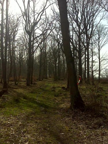 Burgbernheim zum Schlossberg