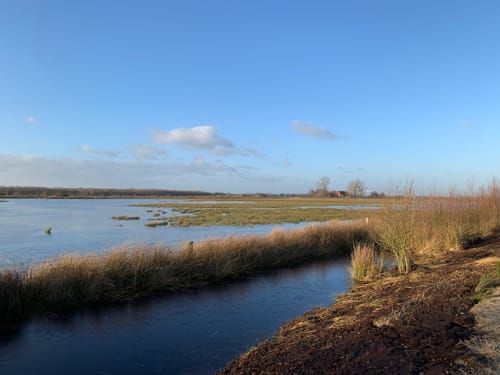 Natuurommetje Bargerveen