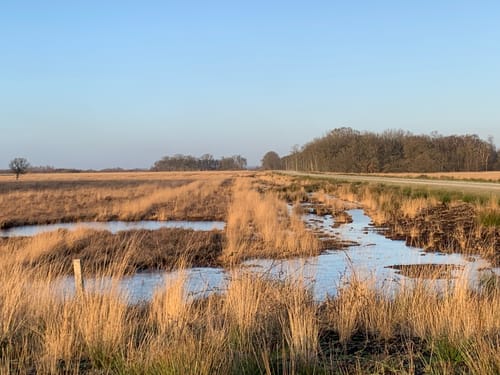 Natuurommetje Bargerveen