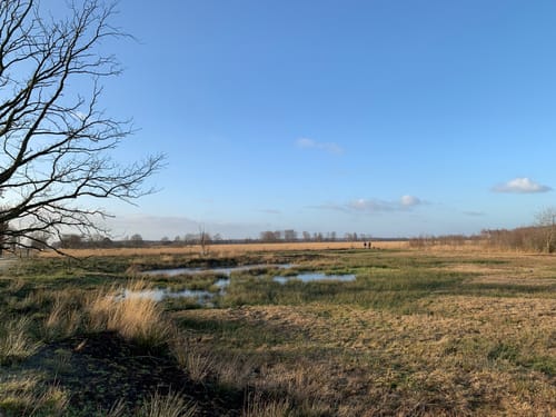 Natuurommetje Bargerveen