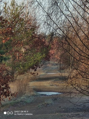 Sandersdorf-Brehna Landschaftssee Köckern