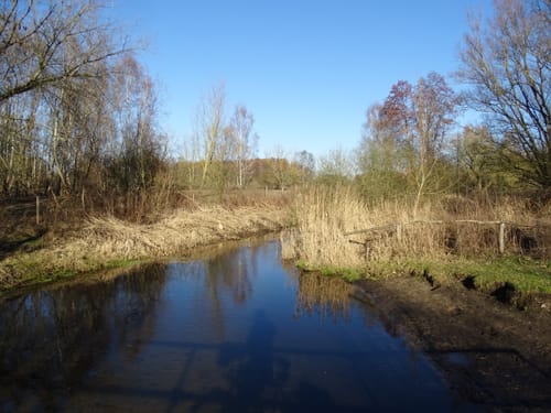 Waldsee, Lübars und Köppchensee