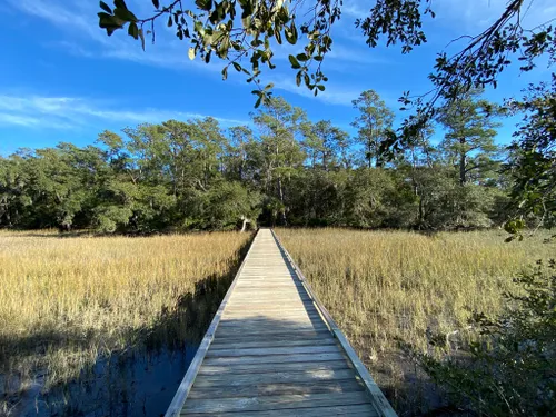 Best Hikes and Trails in Edisto Beach State Park | AllTrails