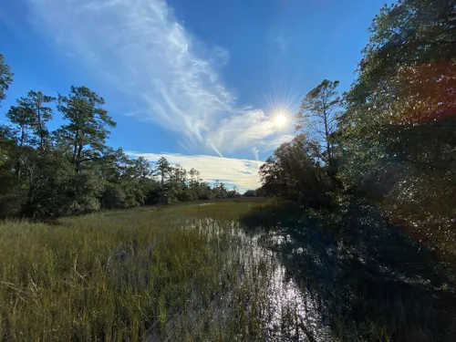 Best Hikes And Trails In Edisto Beach State Park Alltrails