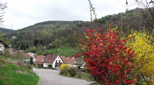 Um Ramberg zu den Burgen
