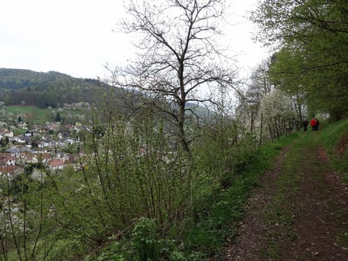 Um Ramberg zu den Burgen