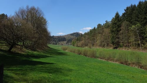 Vom Römerstadt durch den Pfälzer Wald