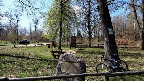 Vom Römerstadt durch den Pfälzer Wald