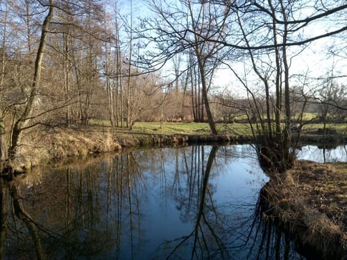 Großpostwitz - Cosul - Rascha
