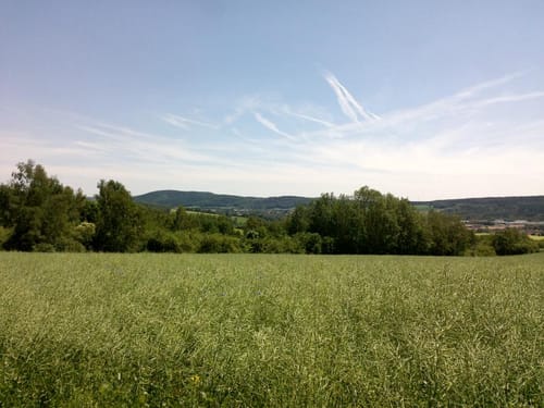 Große Gaußiger Runde