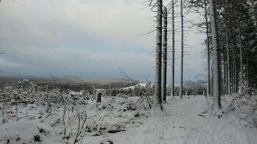 Gelber Strich: Czorneboh - Bieleboh