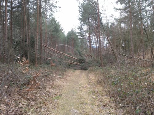 Großdubrau - Wukranteich