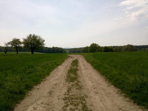 Rundweg Grüner Strich