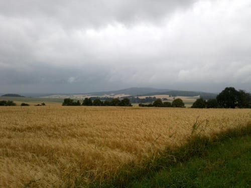 Grüner Punkt "Pulsnitzer Rundwanderweg"
