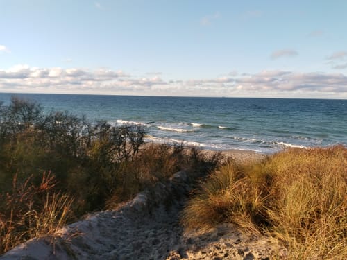 Markgrafenheide - Heiligensee und Hütelmoor