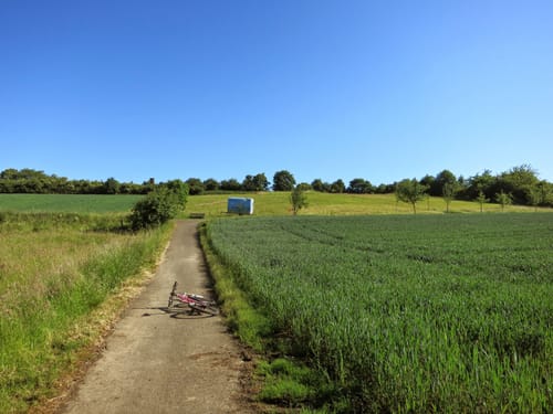 Regionalschleife 8: Goldenes Tor zur Wetterau