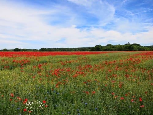 Regionalparkroute östlicher Teil Frakfurt am Main