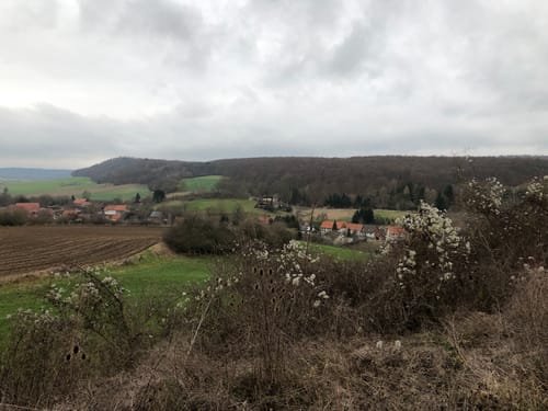 Lutter am Barenberge - Neuwallmoden