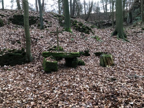 Lutter am Barenberge - Neuwallmoden