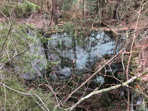Lutter am Barenberge - Neuwallmoden
